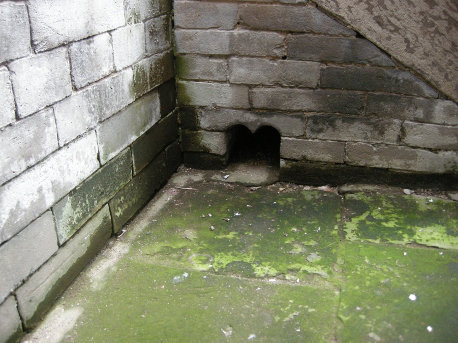 DSCN8369.JPG