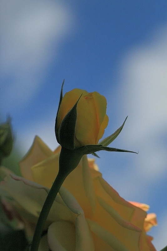 IMG_7318DPP_.jpg