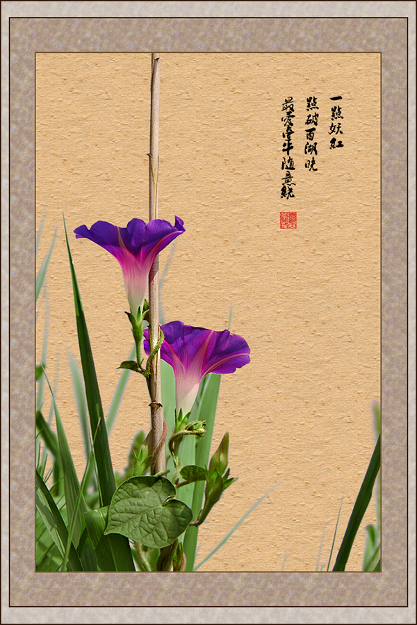 a17405030_01000.jpg