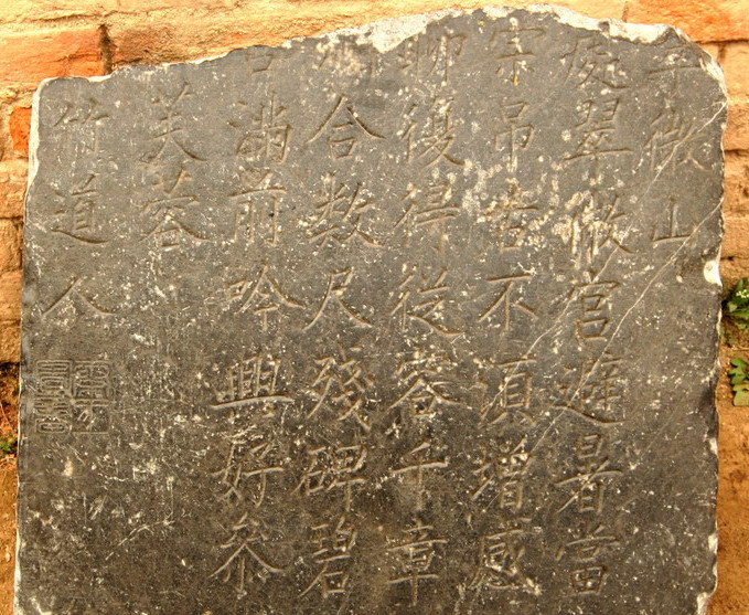 586.jpg