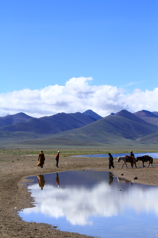 西藏 396.jpg