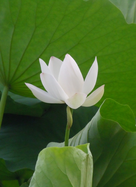 照片 041.jpg