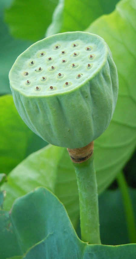 照片 068.jpg