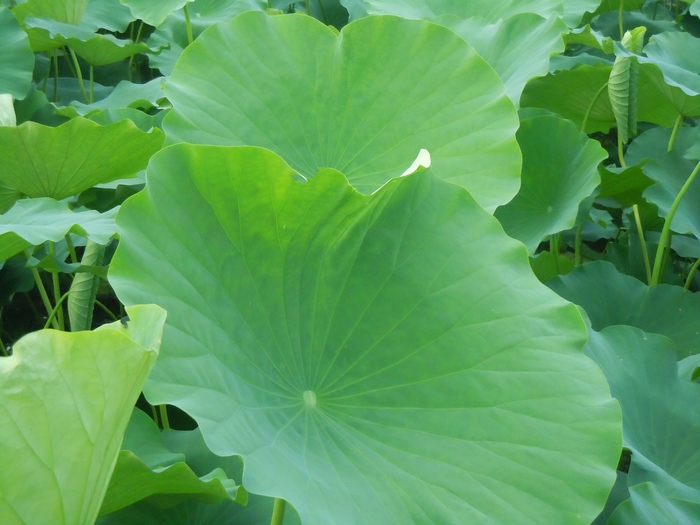 照片 081.jpg