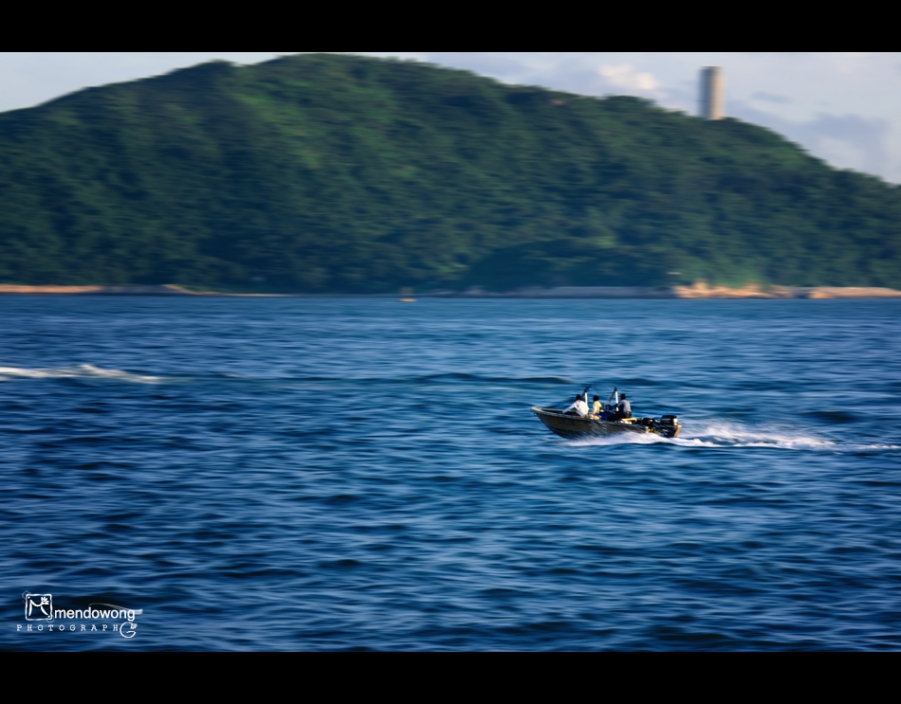 DSC04958.jpg