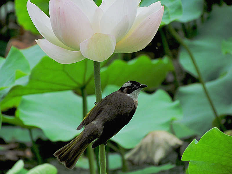 IMG_6040.jpg