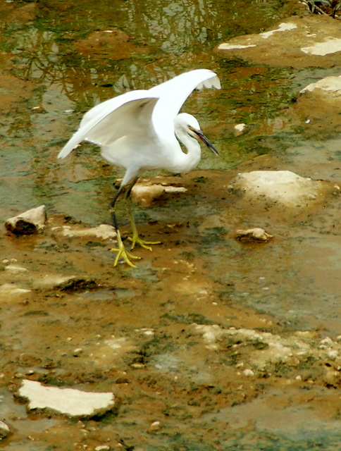 DSC06357.JPG