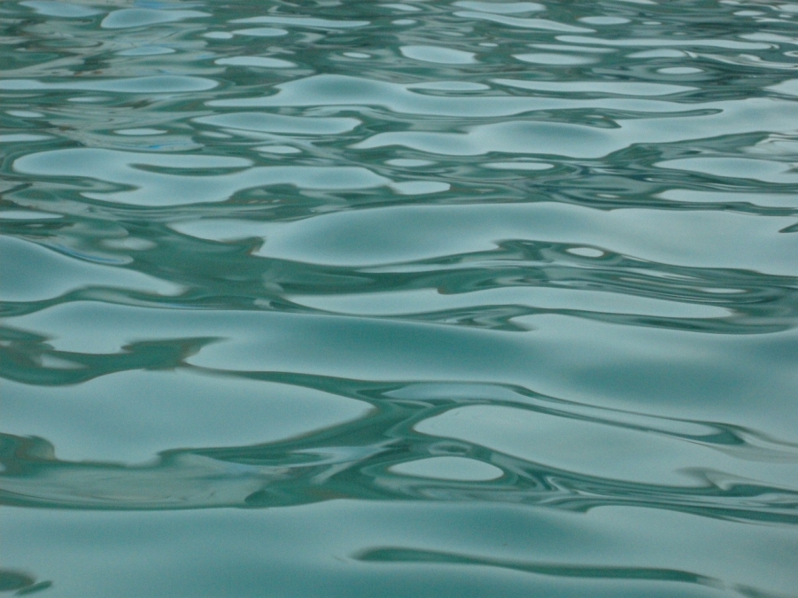 DSCN8869.JPG