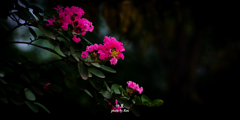 _MG_8256.jpg