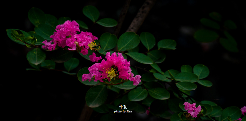 _MG_8258.jpg