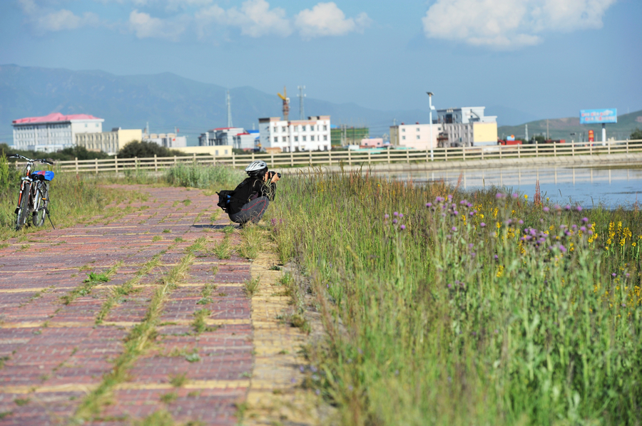 DSC_4041.jpg