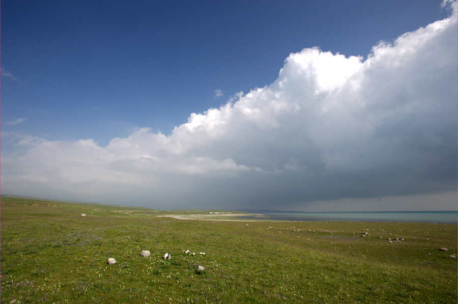 DSC_4420.jpg