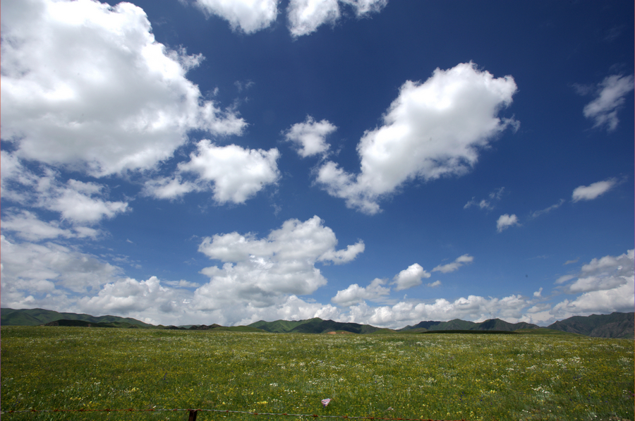 DSC_4898.jpg