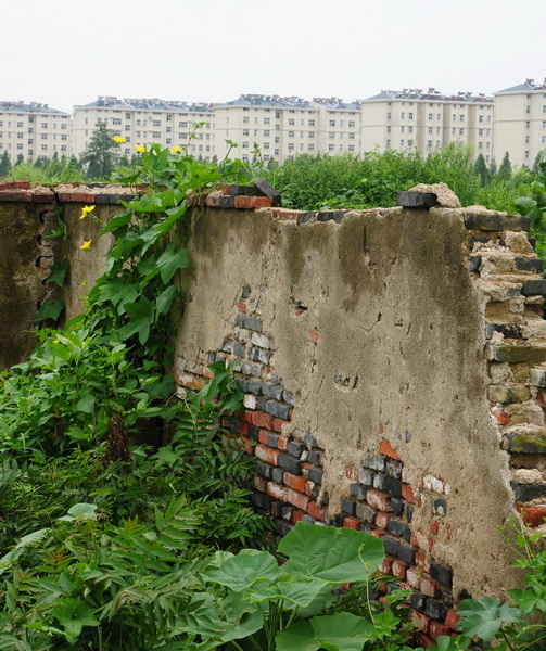 DSC_0335.jpg