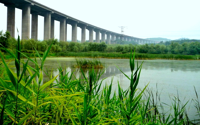 P1100693.JPG