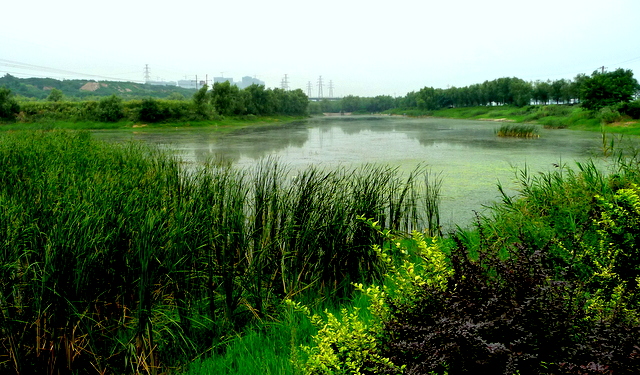 P1100696.JPG