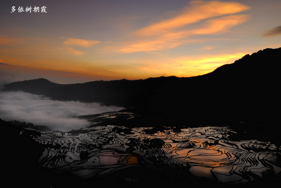 多依树朝霞（一）.jpg