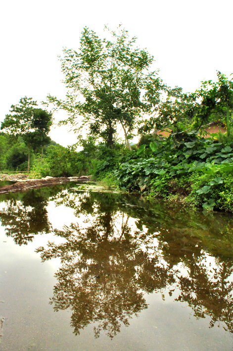 DSC_0517.JPG