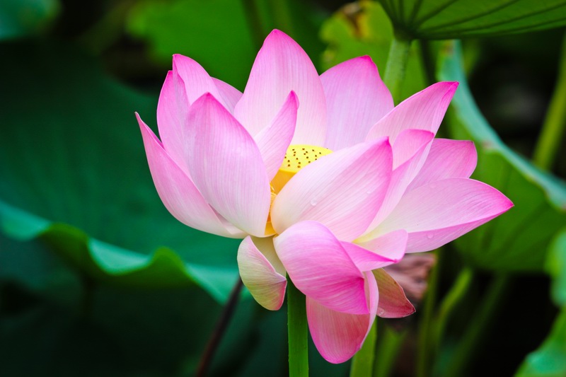 IMG_5201@.jpg