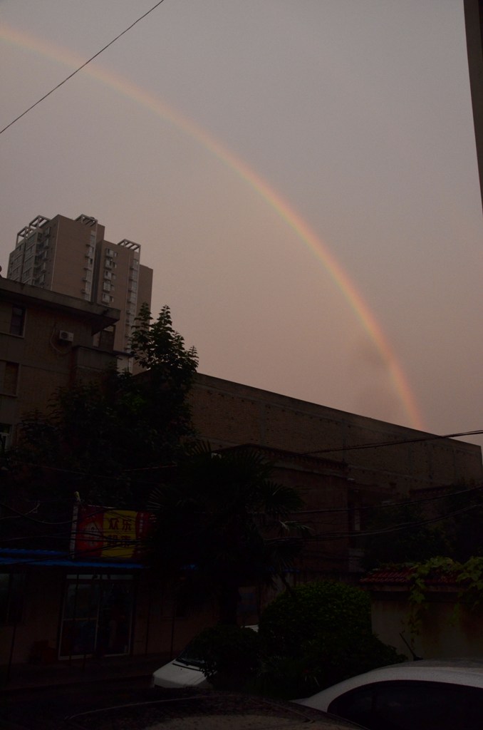 DSC_8496.JPG