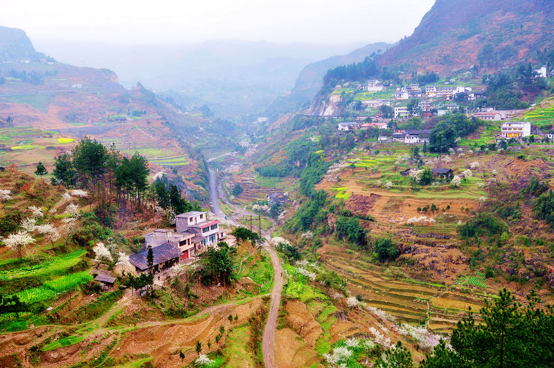 山野春早6 (2).jpg