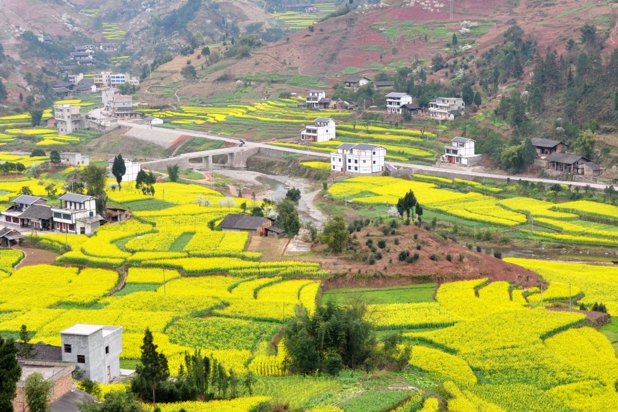 桐梓、雷山 (216).jpg