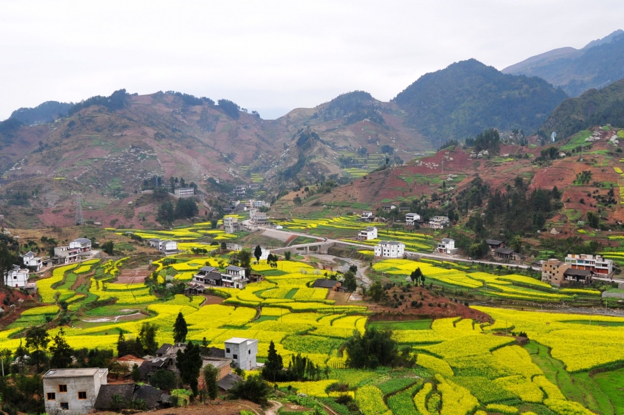 桐梓、雷山 (220).jpg