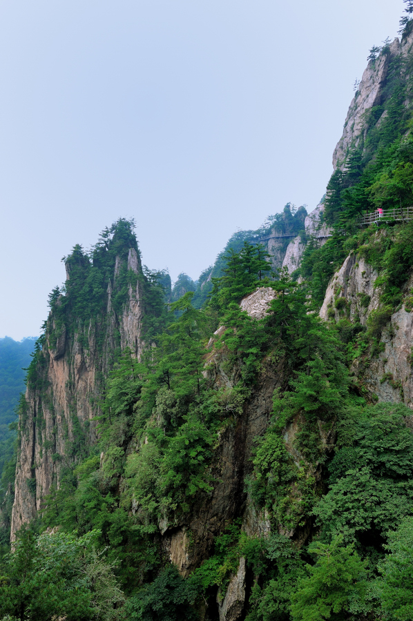 DSC_1608.jpg2.jpg