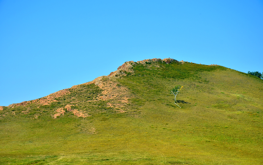 DSC_0551.jpg