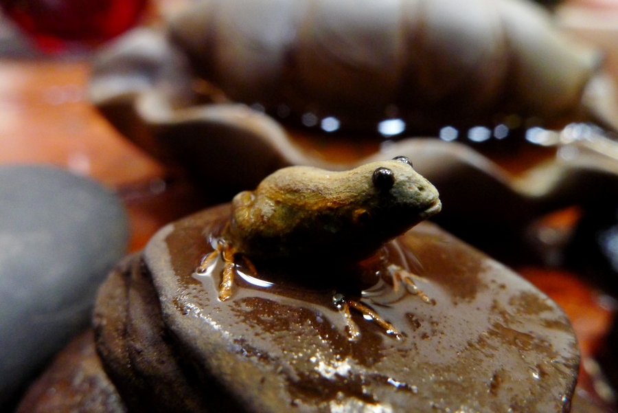 唐家阁客栈 (5).JPG