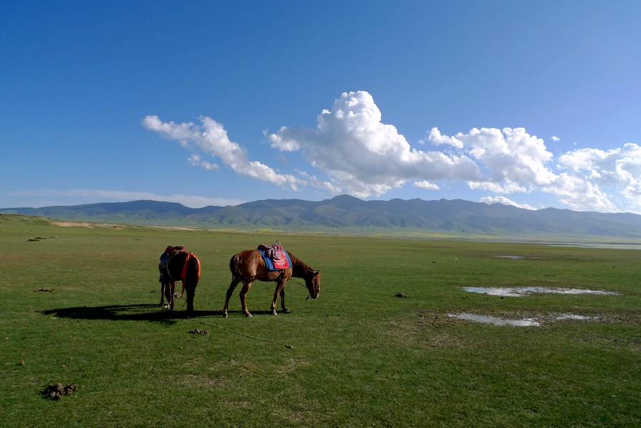 青海风光 (2).JPG