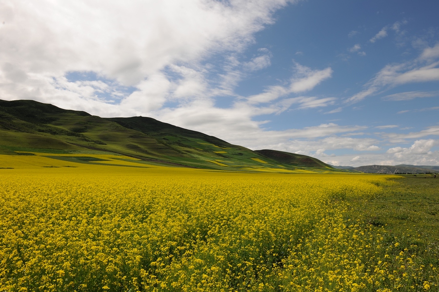 青海风光 (3).JPG