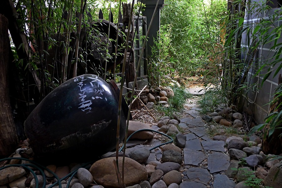 P1090884.JPG