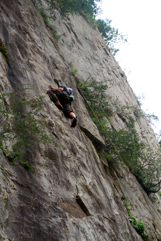 秦岭 049_副本.jpg