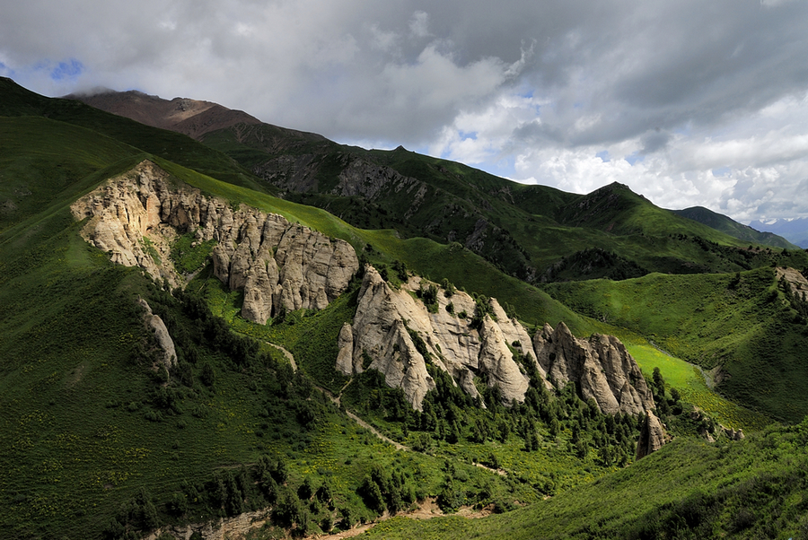 _DSC0163.jpg