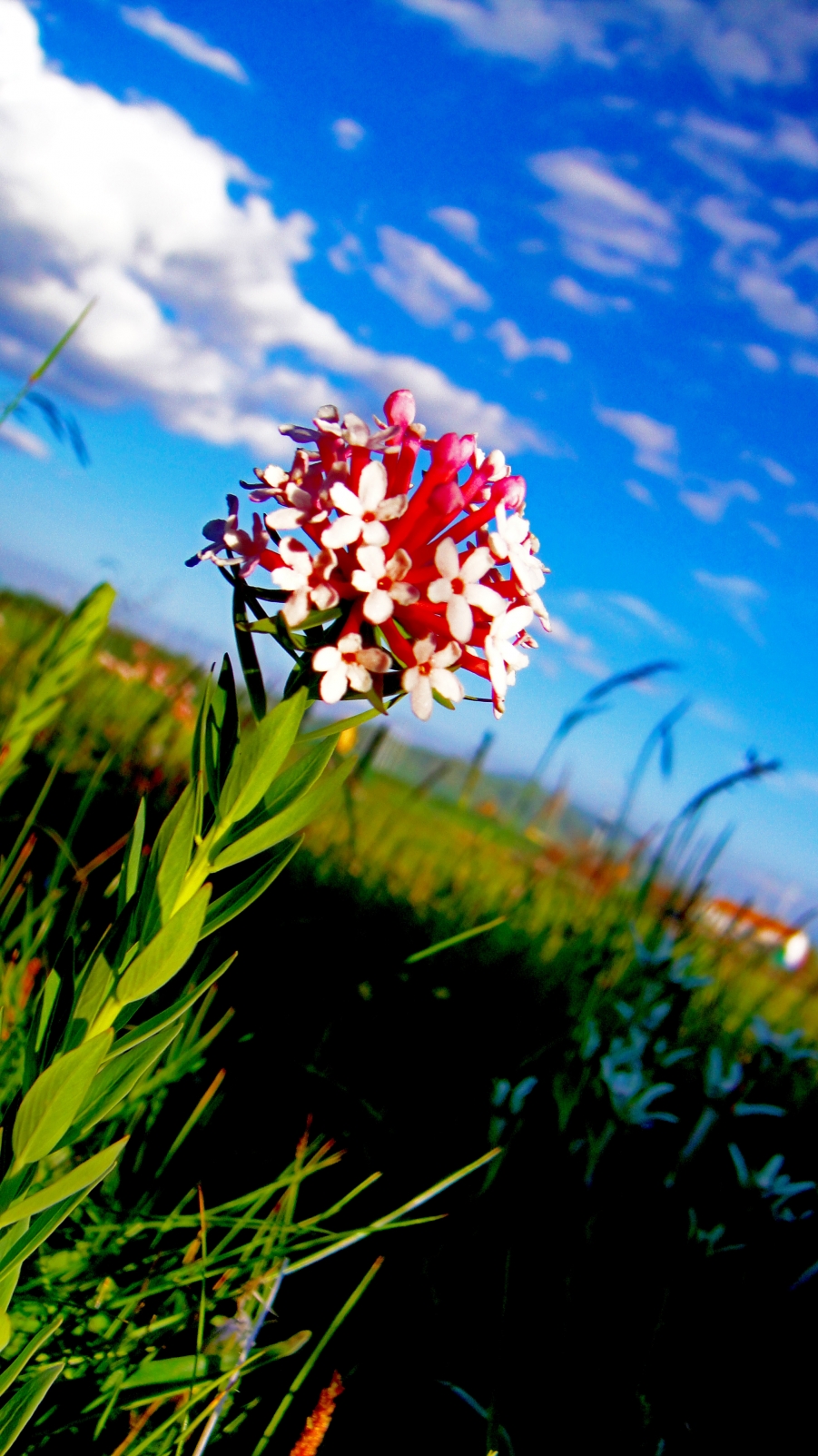 DSC03147.jpg