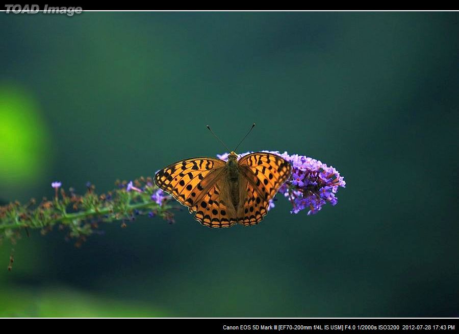 nEO_IMG_BV6A0273.jpg