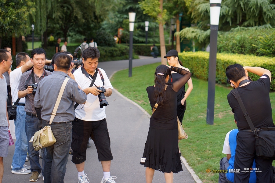 DSC04749a.jpg