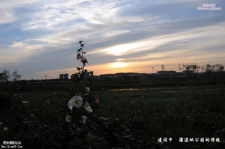DSC_5756.jpg
