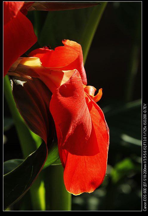 nEO_IMG__MG_3967.jpg