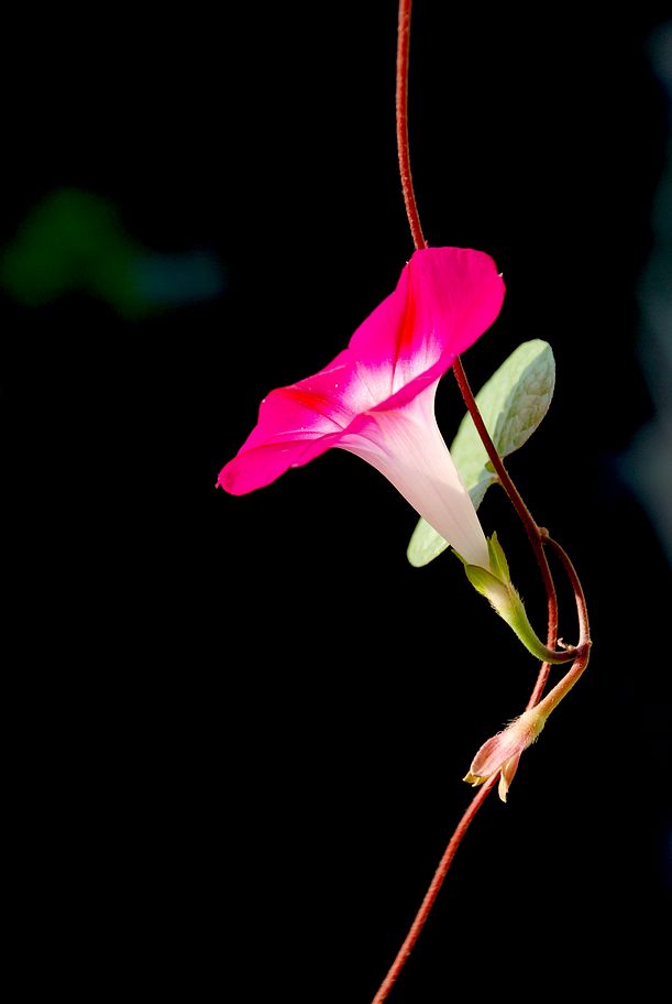 DSC_0024.JPG