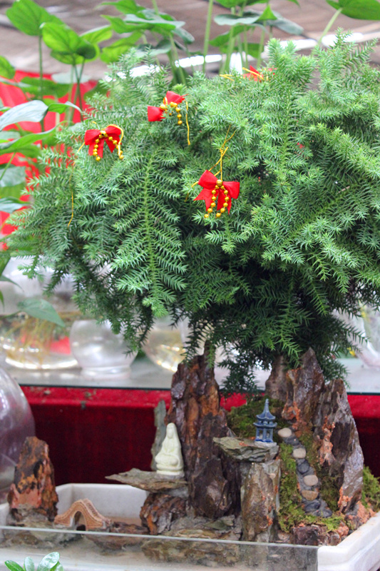 IMG_0113_副本.jpg