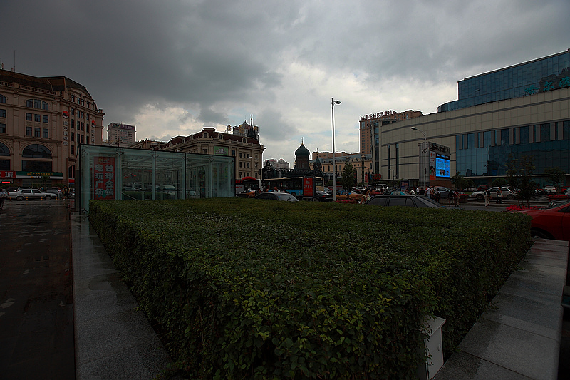 _MG_8313.jpg