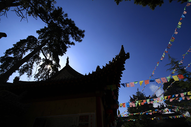 _MG_5763_副本.jpg