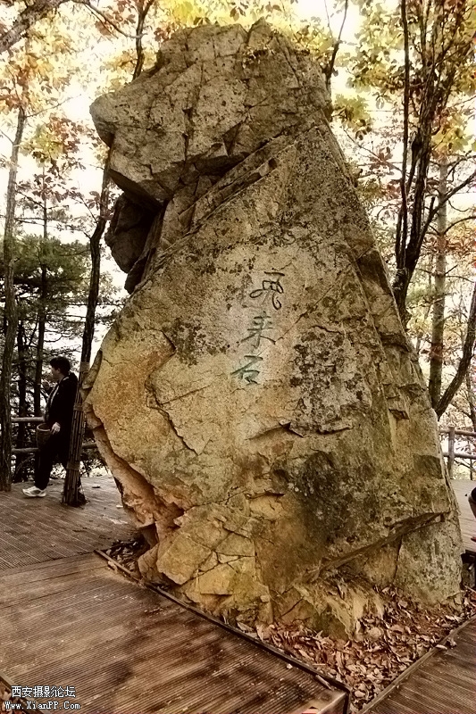 _MG_6667.jpg