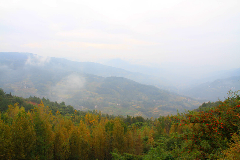 阆中 227_副本.jpg