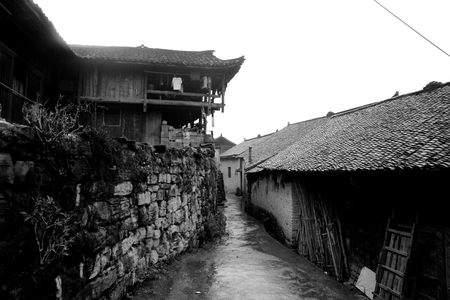 湖南长沙行 1216.jpg