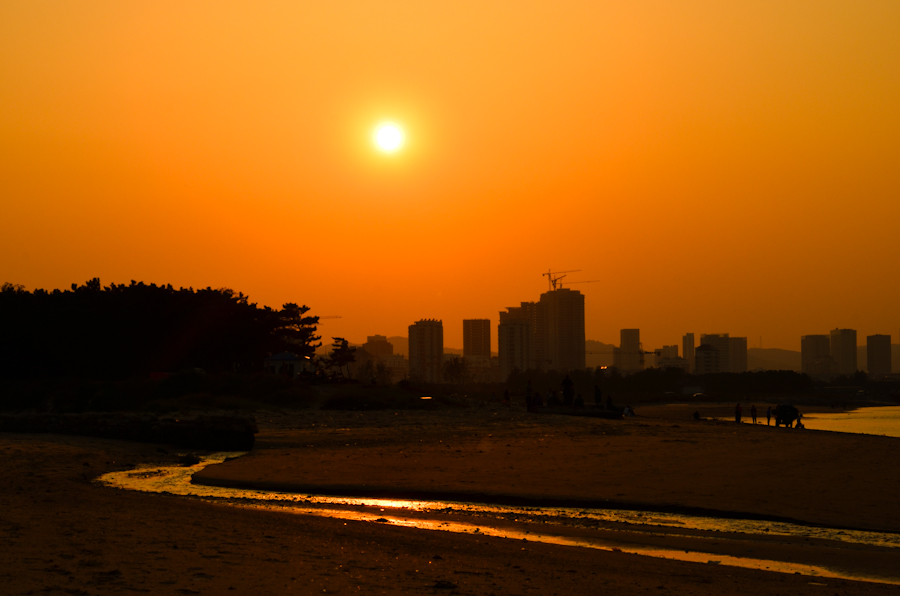 DSC_0839.jpg
