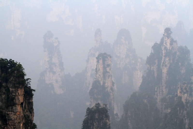 湖南长沙行 732.jpg