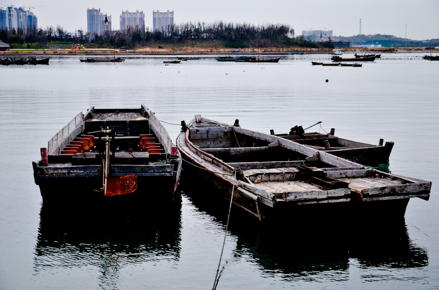DSC_0270.jpg